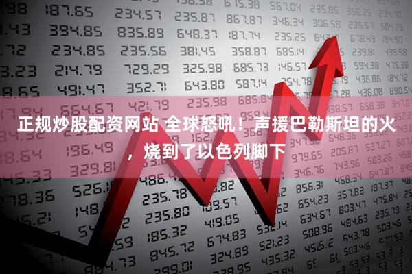 正规炒股配资网站 全球怒吼！声援巴勒斯坦的火，烧到了以色列脚下